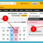 how to lay a bet on betfair
